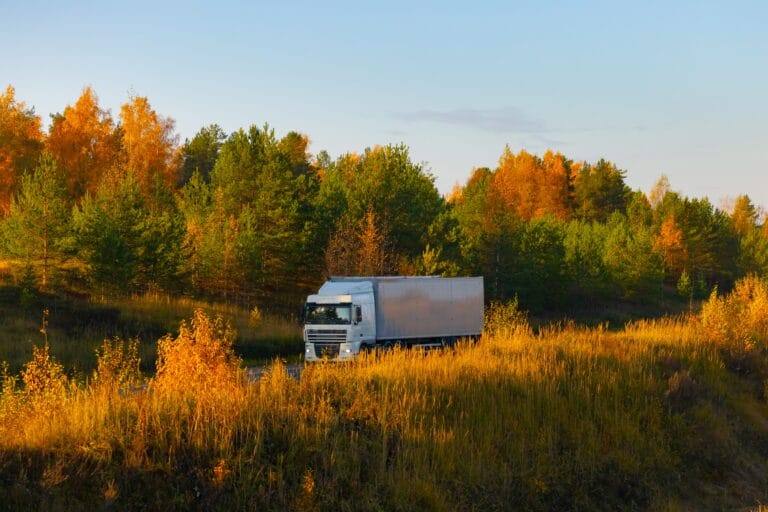 A truck of an unknown brand is driving on a road in an autumnal landscape