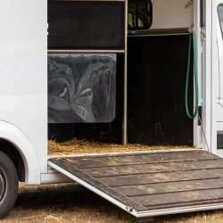 Horse Box Cargo Trailer Transport With Open Tailga 2026 01 07 00 22 26 Utc